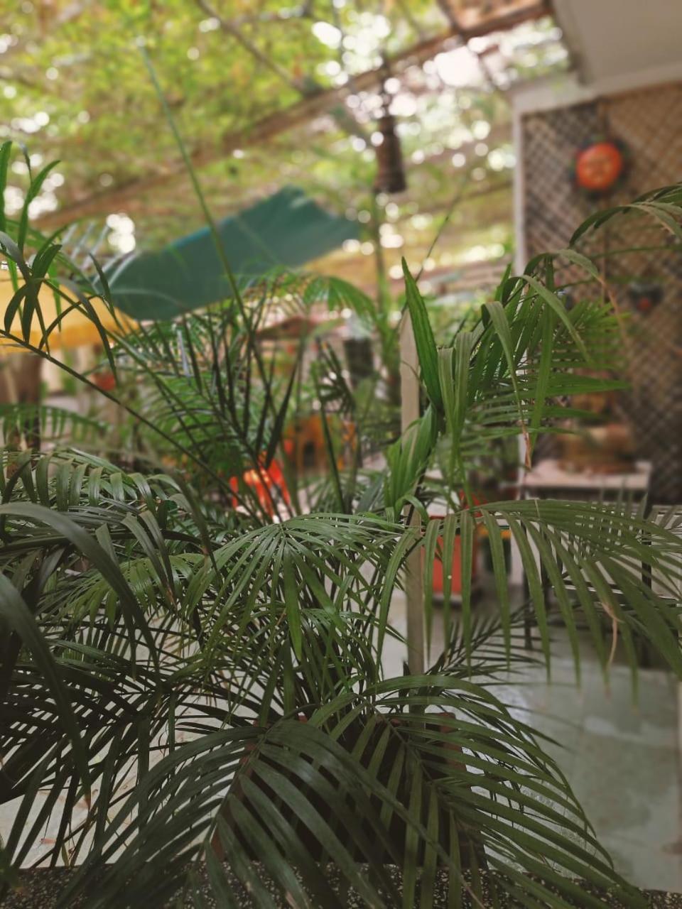 Srinekatan Heritage Villa Homestay อาเมดาบัด ภายนอก รูปภาพ